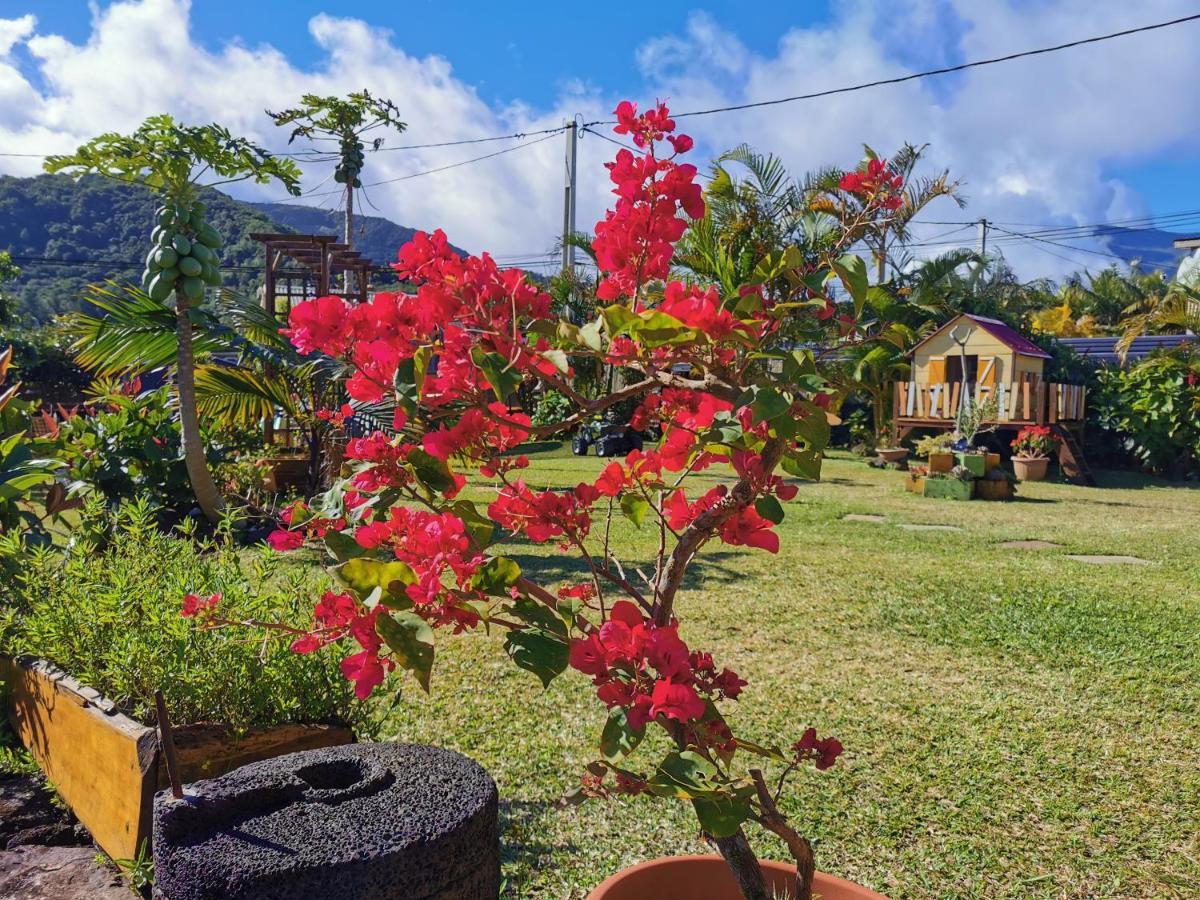 Ti Kazenboi Villa แซ็ง-โฌเซฟ ภายนอก รูปภาพ